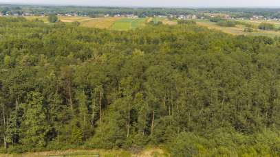 Działka Sprzedaż Dąbrowa Tarnowska Spokojna