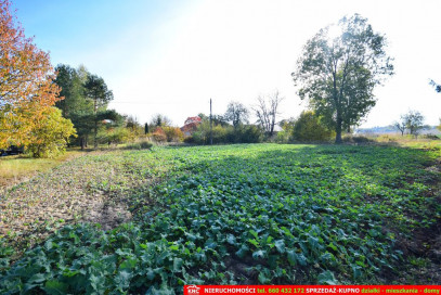 Działka Sprzedaż Jabłonna Pierwsza