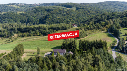 Dom Sprzedaż Szczepanowice