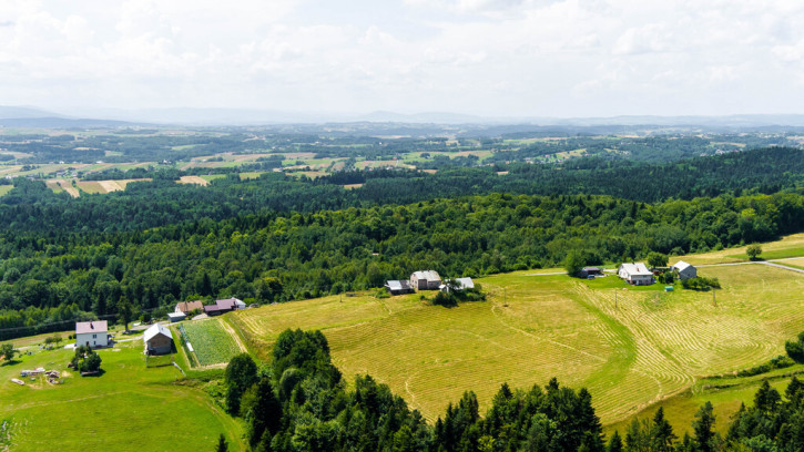 Działka Sprzedaż Żurowa 3