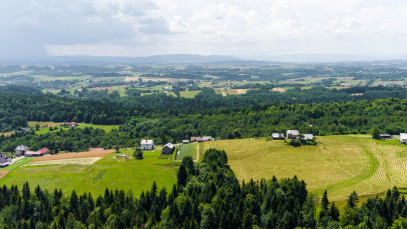 Działka Sprzedaż Żurowa