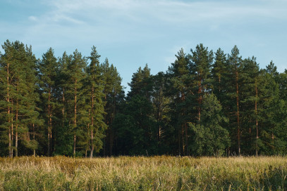 Działka Sprzedaż Łękawica