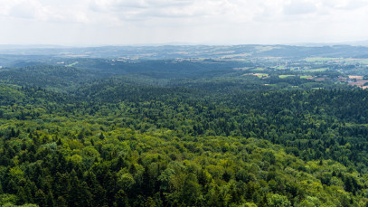 Działka Sprzedaż Łękawica