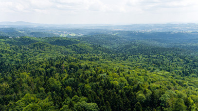 Działka Sprzedaż Łękawica