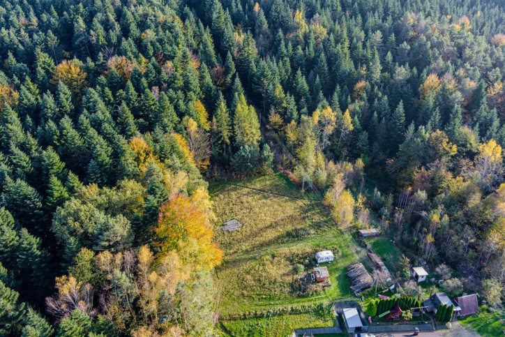 Działka Sprzedaż Bartkowa-Posadowa 8