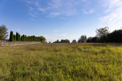 Działka Sprzedaż Starościce