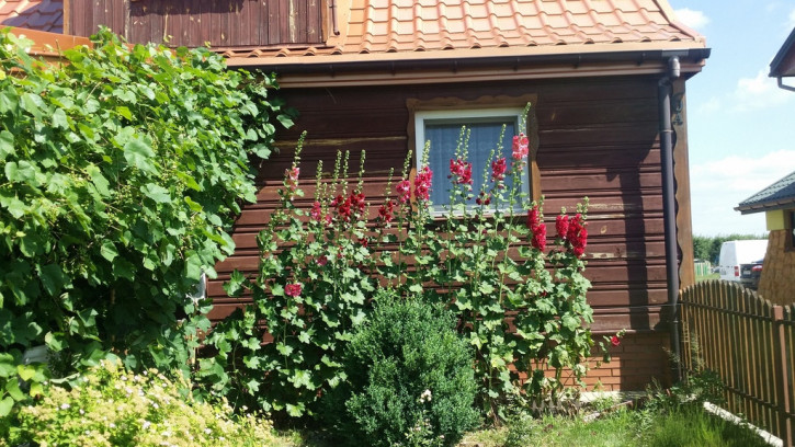 Dom Sprzedaż Nowy Franciszków 4