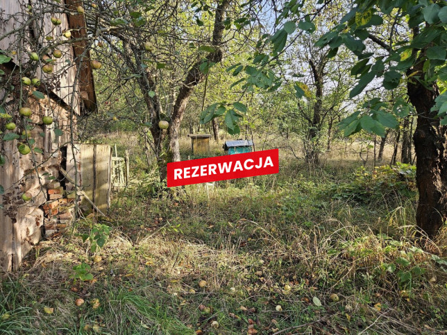 Dom Sprzedaż Wójtowa 12