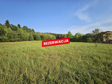 Dom Sprzedaż Wójtowa