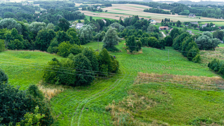 Działka Sprzedaż Zalasowa 6