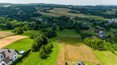 Działka Sprzedaż Zalasowa