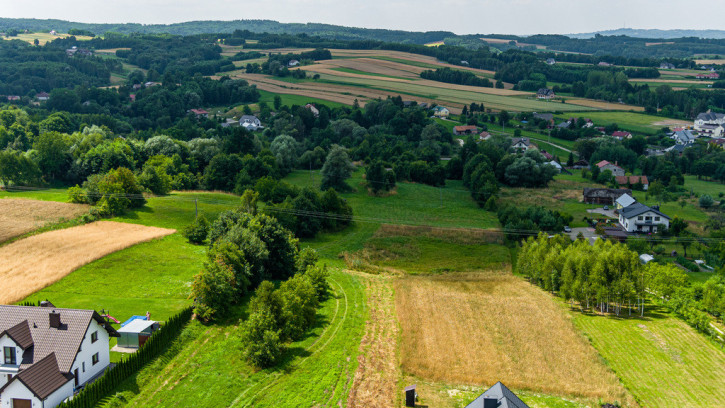 Działka Sprzedaż Zalasowa 2