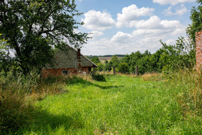 Działka Sprzedaż Zalasowa