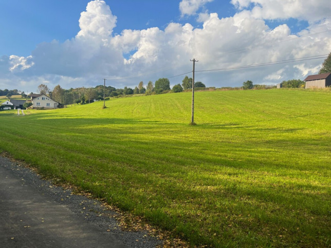 Działka Sprzedaż Jodłowa 1