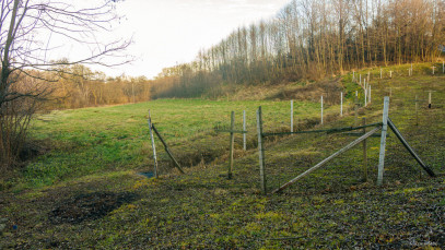 Działka Sprzedaż Szczepanowice