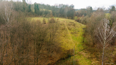 Działka Sprzedaż Jodłówka Tuchowska