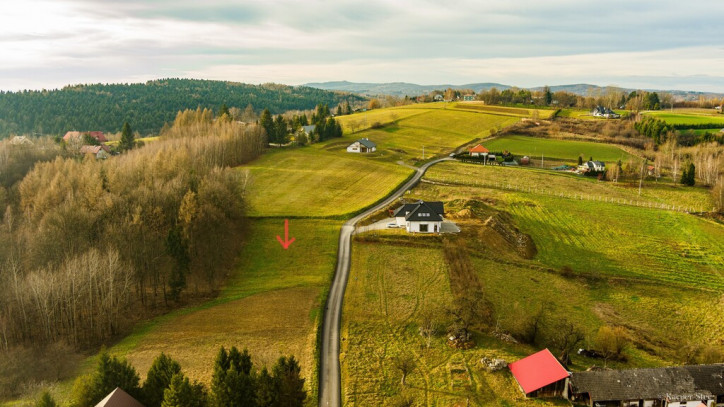 Działka Sprzedaż Tuchów 1