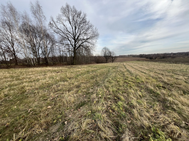 Działka Sprzedaż Kazimierz Dolny Góry Pierwsze 2