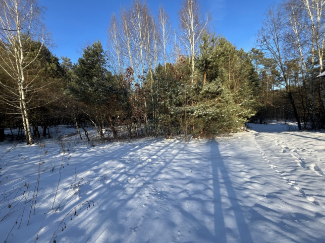 Dom Sprzedaż Chotcza-Józefów 18