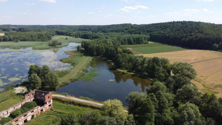 Obiekt Sprzedaż Celejów 4