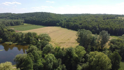 Obiekt Sprzedaż Celejów