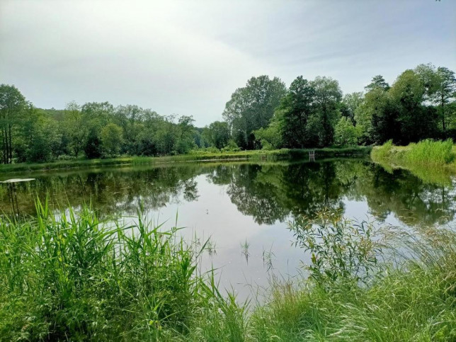 Obiekt Sprzedaż Celejów 20