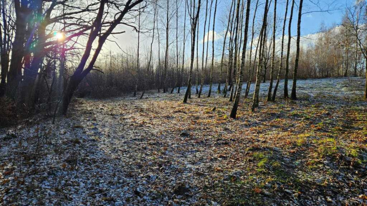 Działka Sprzedaż Koszyce Wielkie 9