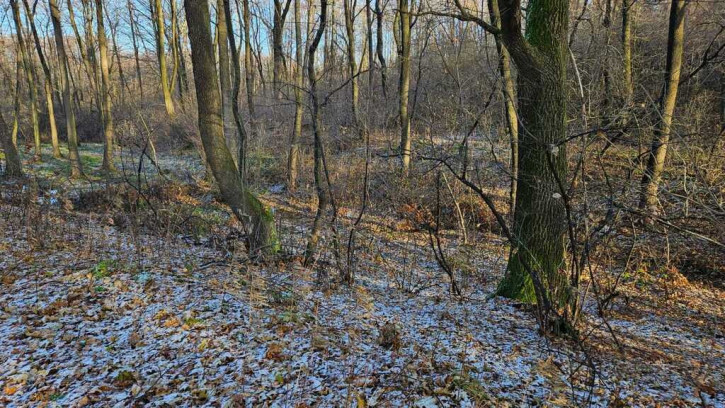 Działka Sprzedaż Koszyce Wielkie 6