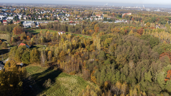 Działka Sprzedaż Koszyce Wielkie 16