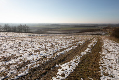 Działka Sprzedaż Łukowa