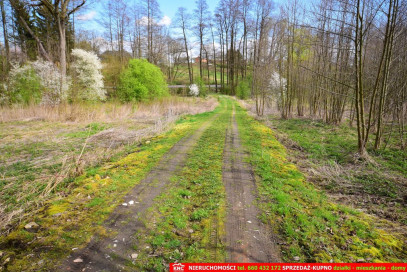 Działka Sprzedaż Motycz