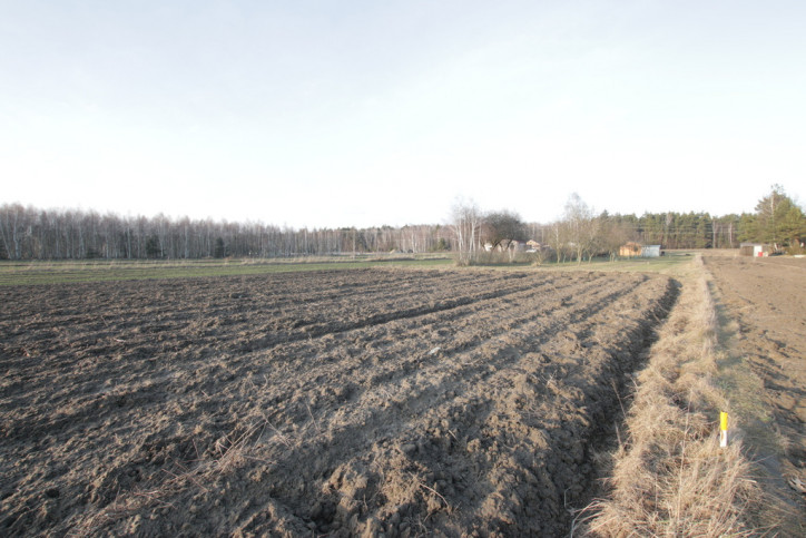 Działka Sprzedaż Skrobów-Kolonia 9