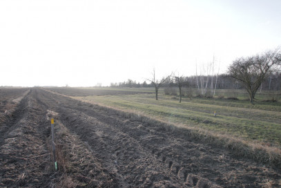 Działka Sprzedaż Skrobów-Kolonia