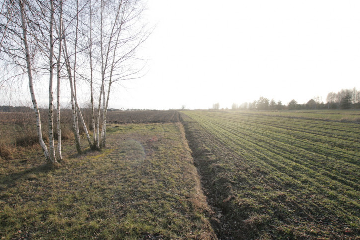 Działka Sprzedaż Skrobów-Kolonia 2