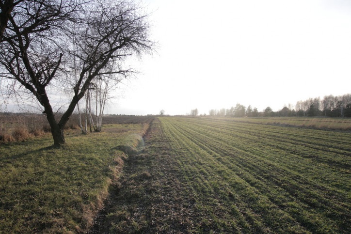 Działka Sprzedaż Skrobów-Kolonia 1