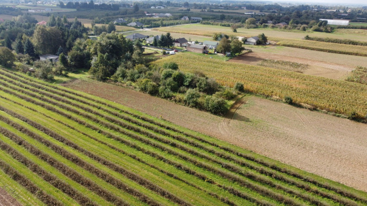 Działka Sprzedaż Motycz 5