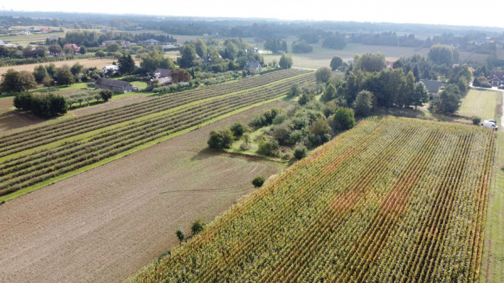 Działka Sprzedaż Motycz 11