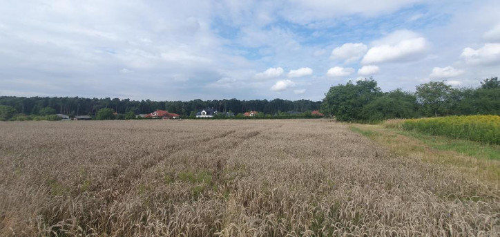 Działka Sprzedaż Świdnik Wiosenna 1