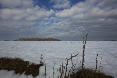 Działka Sprzedaż Ołpiny