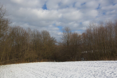 Działka Sprzedaż Ołpiny