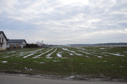 Działka Sprzedaż Jabłonna-Majątek