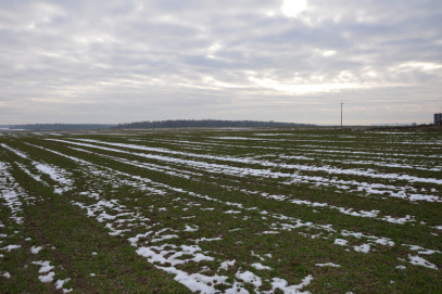 Działka Sprzedaż Jabłonna-Majątek