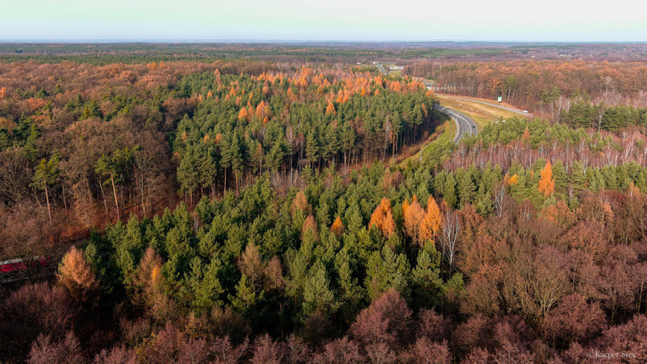 Działka Sprzedaż Brzesko Wiejska 12