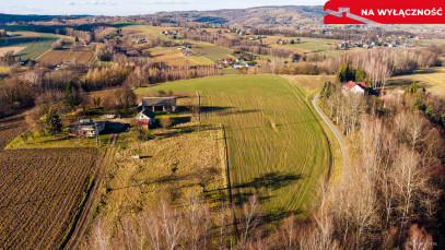 Działka Sprzedaż Tuchów Rolnicza