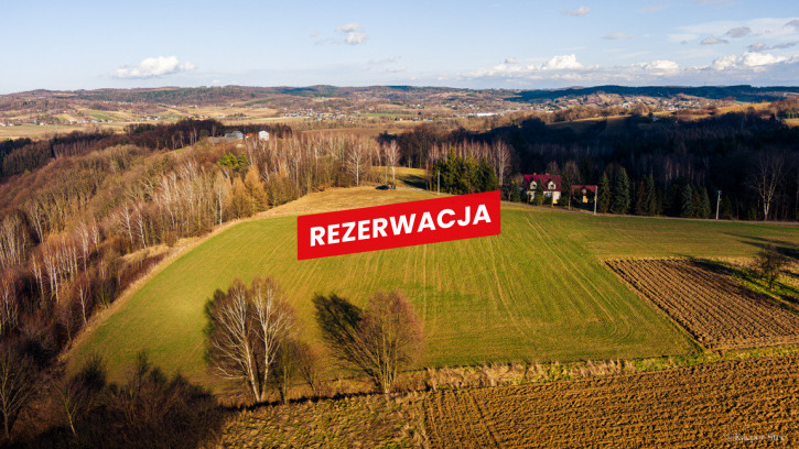 Działka Sprzedaż Tuchów 1