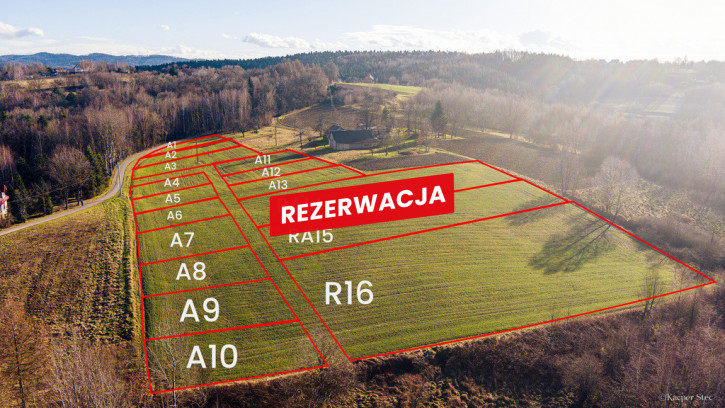 Działka Sprzedaż Tuchów 6