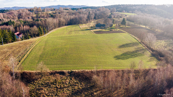 Działka Sprzedaż Tuchów Rolnicza 2