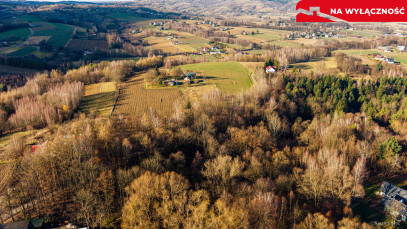 Działka Sprzedaż Tuchów Rolnicza