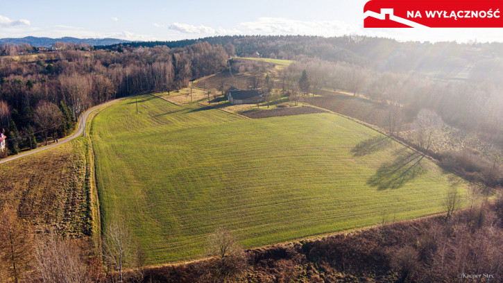 Działka Sprzedaż Tuchów Rolnicza 2