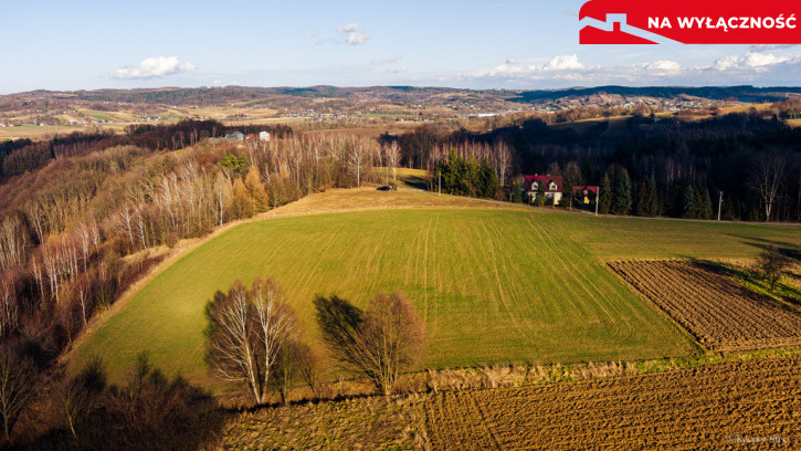 Działka Sprzedaż Tuchów Rolnicza 1